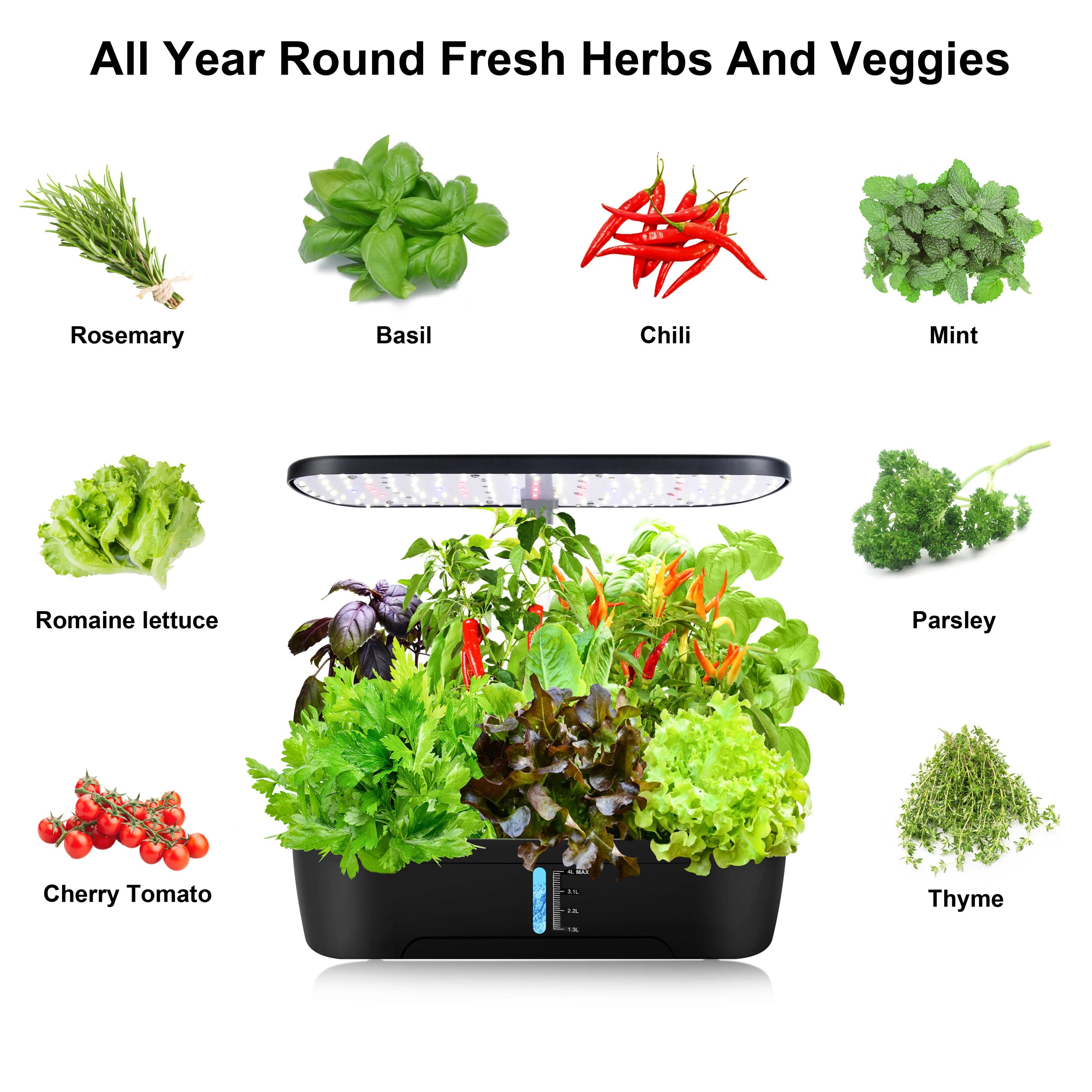 LAQTA 12 Pods Hydroponics Growing System with transparent container and nutrient pods for indoor vegetable and herb gardening.