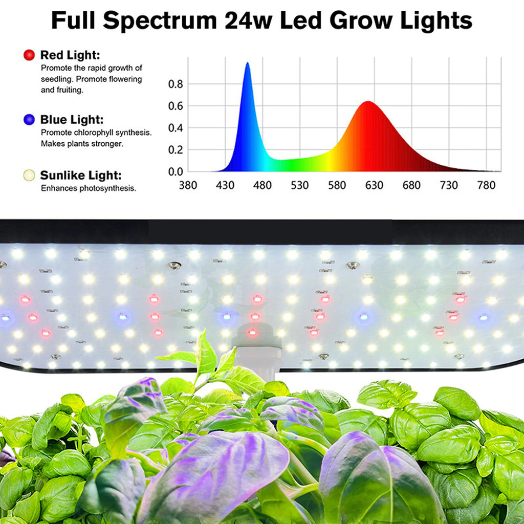 LAQTA 12 Pods Hydroponics Growing System with sleek black frame and 12 planting pods for indoor vegetable and herb gardening.