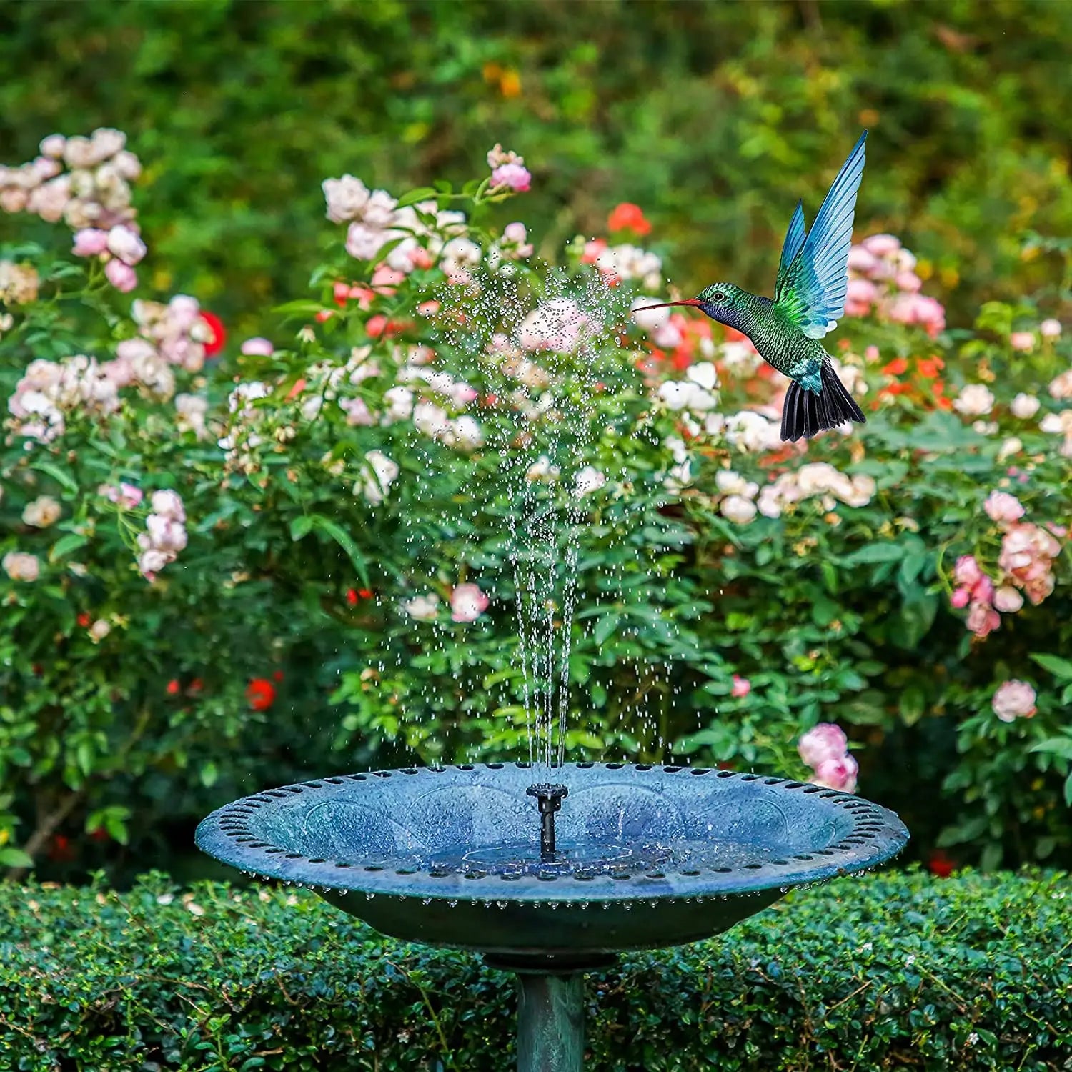 LAQTA solar water fountain pool with adjustable spray nozzles and solar panel for eco-friendly outdoor decoration