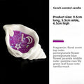 LAQTA Sea Shell Aromatherapy Candle with a natural shell design, perfect for relaxing home decor and calming ambiance.